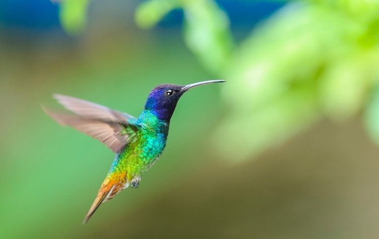 Ejercicios de náhuatl